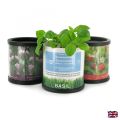Eco Friendly Promotional Items