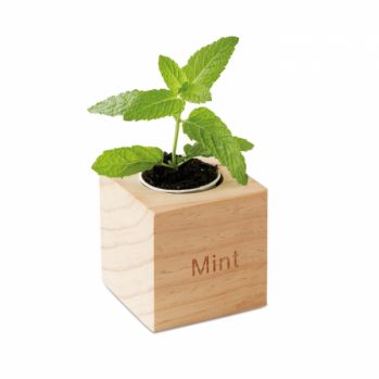 Promotional Desktop Menta Plant Pot