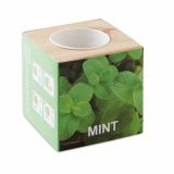 Promotional Desktop Menta Plant Pot