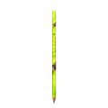 Full Colour BIC Evolution Ecolutions Pencil 