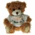 Promotional 12cm Paw Bear Tshirt