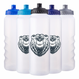 Promotional Biodegradeable 750ml Sports Bottle