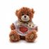 Promotional Small Patched Paw Teddy with T-Shirt