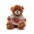 Promotional Small Patched Paw Teddy