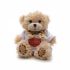 Promotional Small Patched Paw Teddy