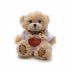 Promotional Small Patched Paw Teddy with T-Shirt