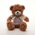 Branded Medium Patched Paw Teddy with T-shirt