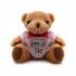 Branded Small Jointed Teddy
