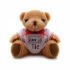Branded Small Jointed Teddy with T-shirt