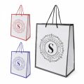 Promotional Newquay Medium Glossy Paper Bag