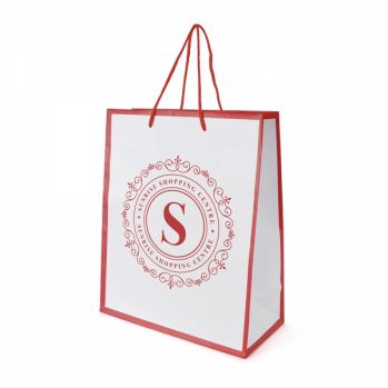 Promotional Newquay Medium Glossy Paper Bag