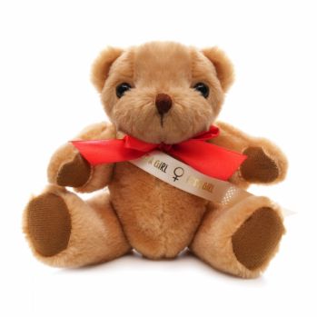 Branded Small Jointed Teddy with Sash