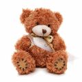 Branded Medium Patched Paw Teddy with Sash