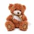 Branded Medium Patched Paw Teddy with Sash