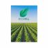 Promotional A5 Seed Paper Postcard