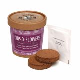 Promotional Cup-O-Flowers Grow Kit