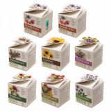 Promotional Mini Box Seed Kit