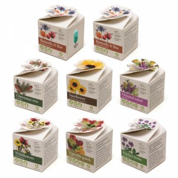 Promotional Mini Box Seed Kit
