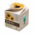 Promotional Mini Box Seed Kit