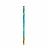 Promotional BIC Evolution Ecolutions Cut pencil