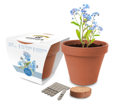 Essentials Clay Pot Gardens