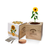 Essentials Desktop Cube Gardens