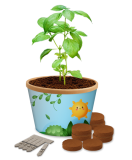 Desktop Cup Seed Gardens