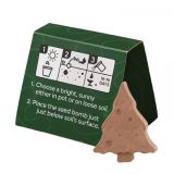 Mini Seed Bomb Box - Tree