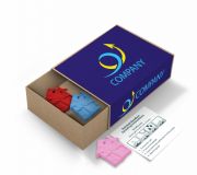 House Shape Rainball Seedboxes