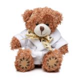 Branded Medium Patched Paw Teddy with Hoodie