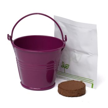 Promotional Coloured Mini Bucket Grow Kit