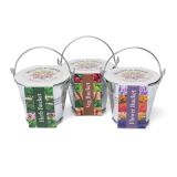 Promotional Silver Mini Bucket Grow Kit