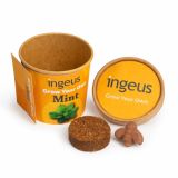 Desktop Herb Garden – Mint - Full Colour Wrap