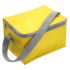 Cooler bag