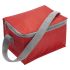 Cooler bag