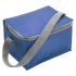 Cooler bag