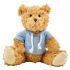 Plush teddy bear with hoodie
