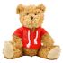 Plush teddy bear with hoodie