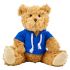 Plush teddy bear with hoodie