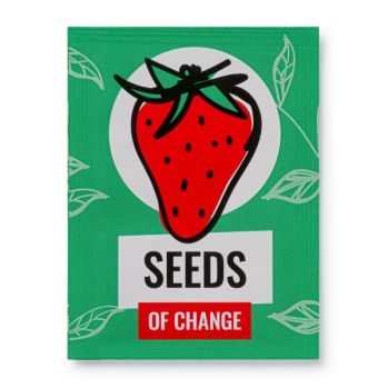 Small Seed Packet (Paper/PE)