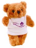Promo 5 inch Rusty Bear with T Shirt