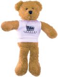 Promo 12 inch Scraggy Bear with T Shirt