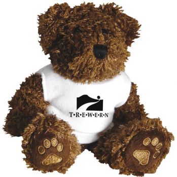 Promo 5 Inch Charlie Bear with T Shirt
