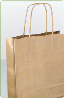 Kraft Paper Bag with Twisted Paper Handles -Medium
