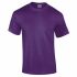 Branded Gildan Ultra Cotton Adult T-Shirt