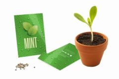 Branded Seed Packet Envelopes Medium- Gloss