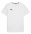 Custom Embroidered Puma, Men's TeamGOAL Casuals Crew Neck Te