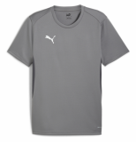 Custom Embroidered Puma, Men's TeamGOAL Football Jersey