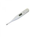 Promotional Digital Thermometer (3 weeks)