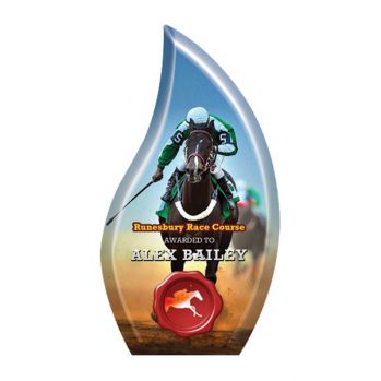 Full Colour Acrylic Teardrop Award